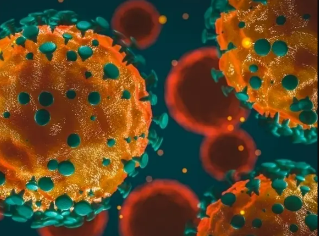 Coronavirus visualization