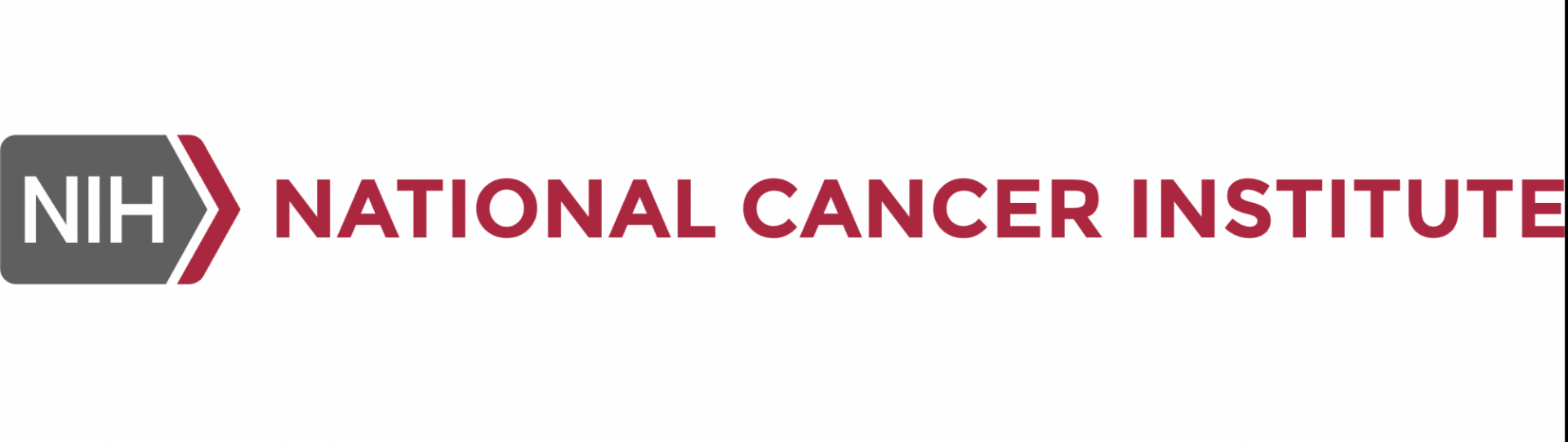 NIC Logo