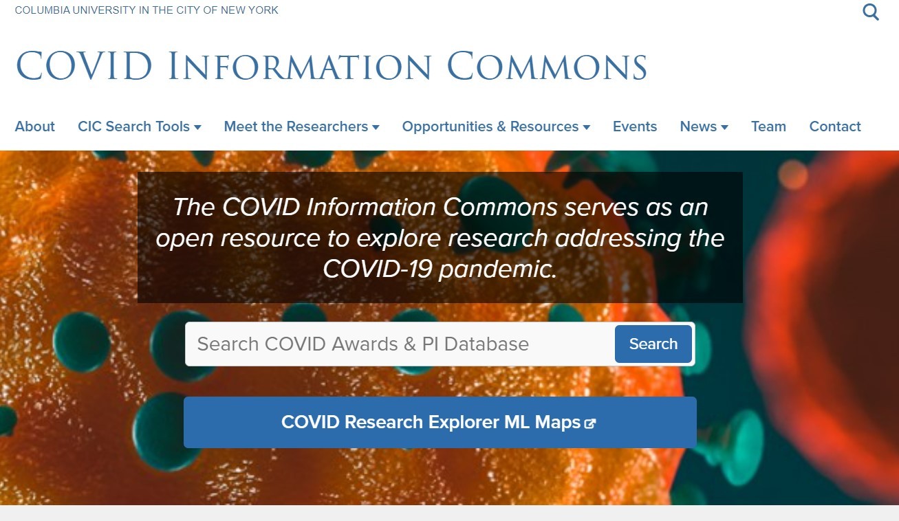 Screenshot of CIC homepage